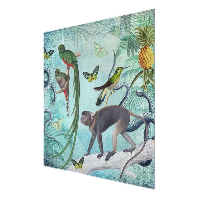 Wandbilder Grün Colonial Style Collage - Äffchen und Paradiesvögel