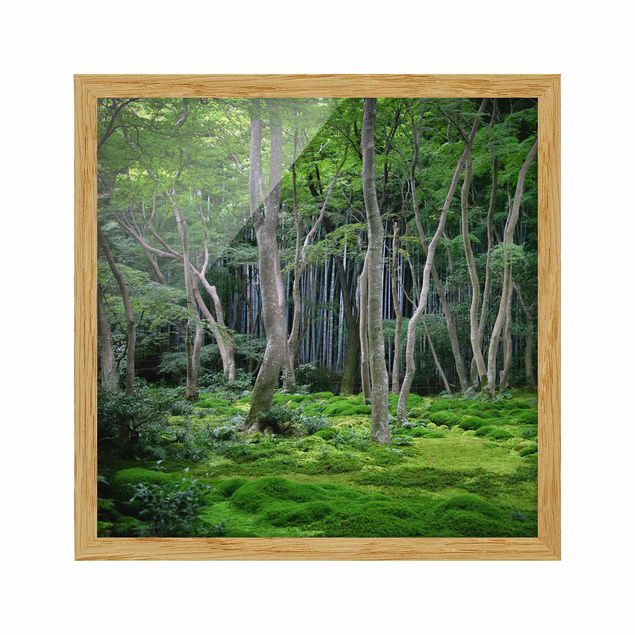 Landschaftsbilder gerahmt Japanischer Wald