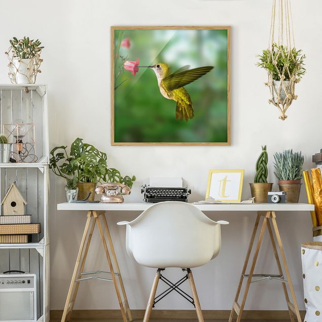 Wandbilder Floral Kolibri und Blüte