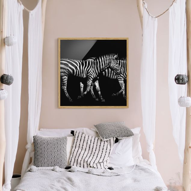 schwarz-weiß Bilder gerahmt Zebra vor Schwarz