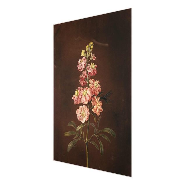 Wandbilder Blumen Barbara Regina Dietzsch - Eine rosa Garten-Levkkoje