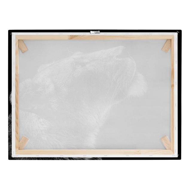 Wandbilder Schwarz-Weiß Portrait einer Löwin
