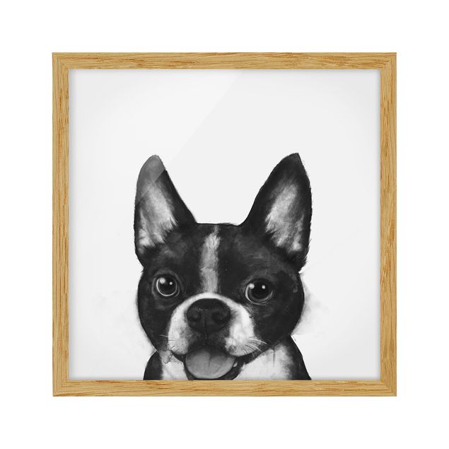 Gerahmte Bilder Tiere Illustration Hund Boston Schwarz Weiß Malerei