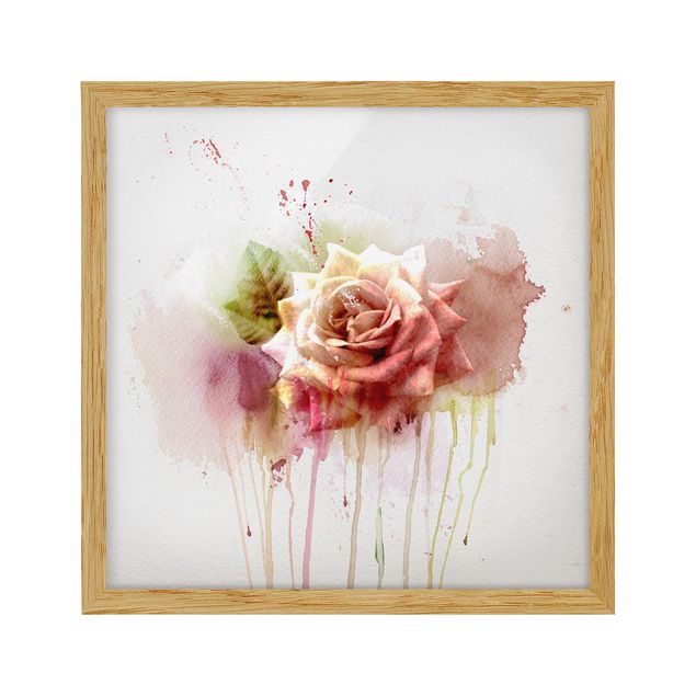 Wandbilder Blumen Aquarell Rose