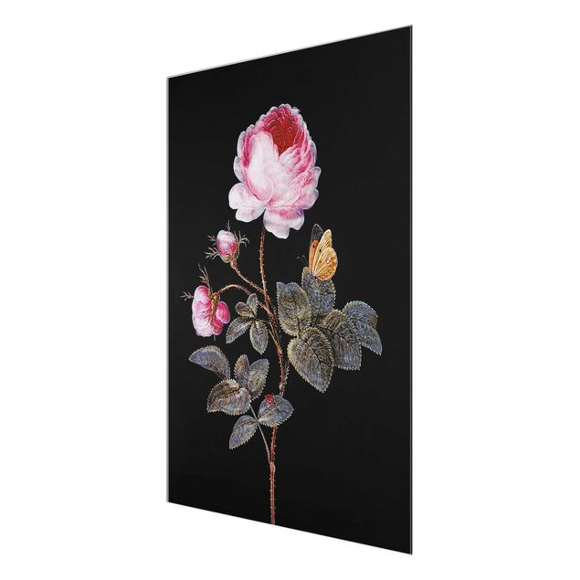 Glasbilder Blumen Barbara Regina Dietzsch - Die hundertblättrige Rose