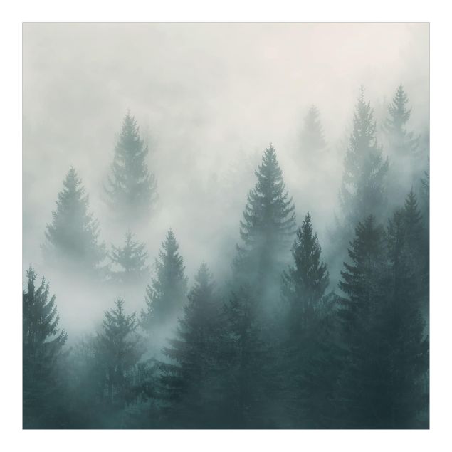 Foto Tapete Nadelwald im Nebel