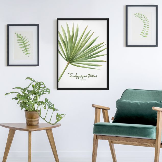 Blumenbilder mit Rahmen Aquarell Botanik Trachycarpus fortunei