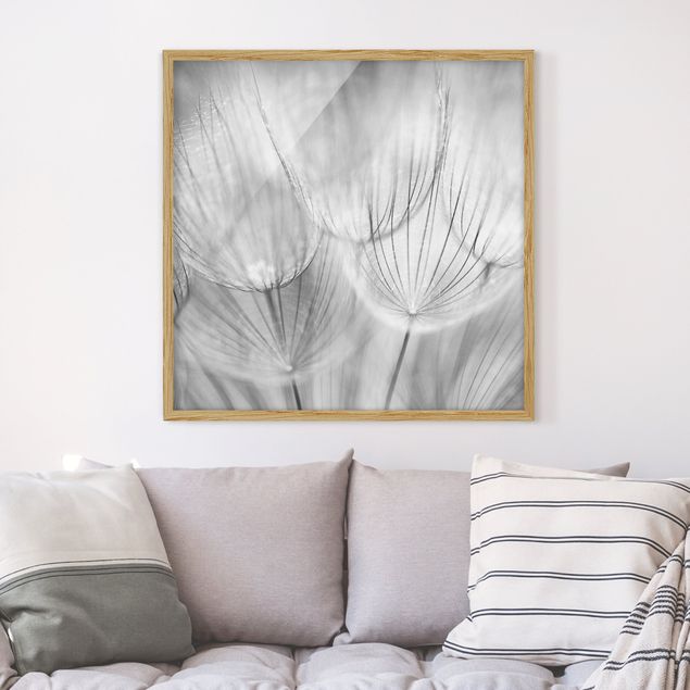 schwarz-weiß Bilder gerahmt Pusteblumen Makroaufnahme in schwarz weiß