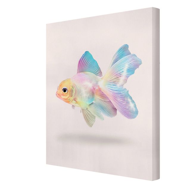 Leinwandbilder Tiere Fisch in Pastell