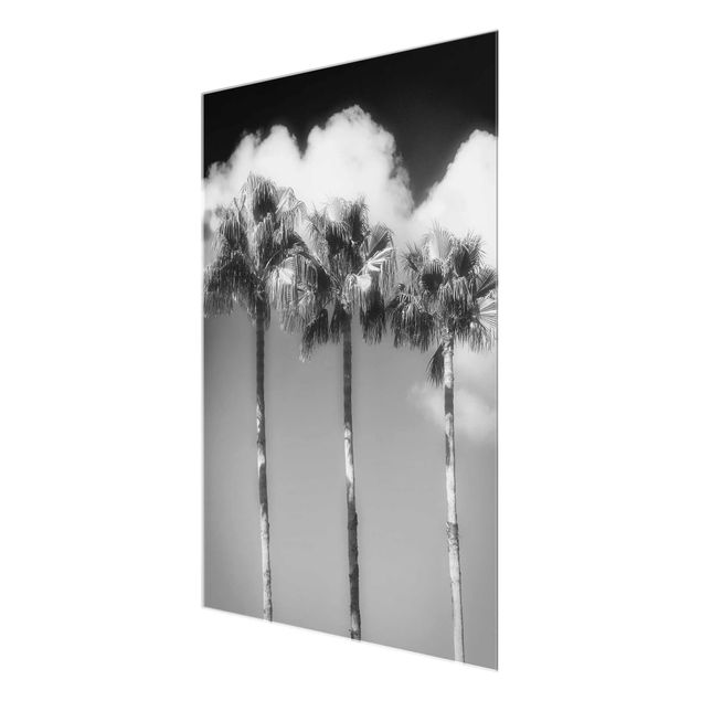 Wandbilder Schwarz-Weiß Palmen vor Himmel Schwarz-Weiß