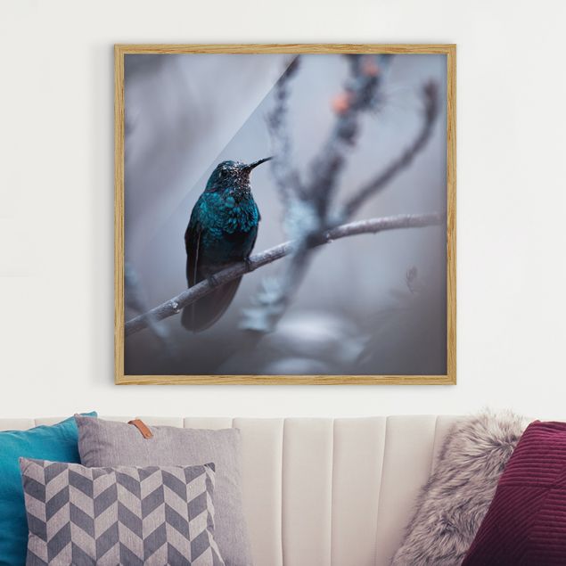 Gerahmte Bilder Tiere Kolibri im Winter