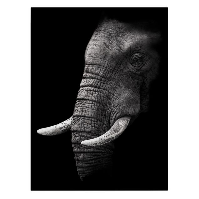 Leinwandbilder schwarz-weiß Dunkles Elefanten Portrait