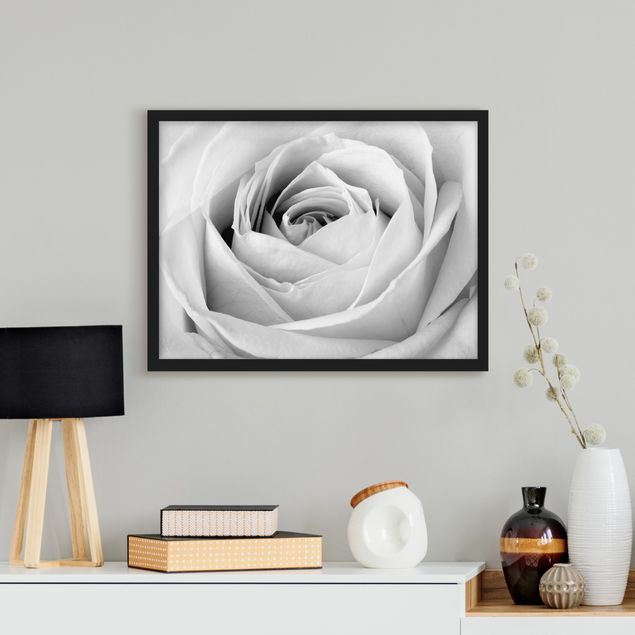 schwarz-weiß Bilder mit Rahmen Close Up Rose