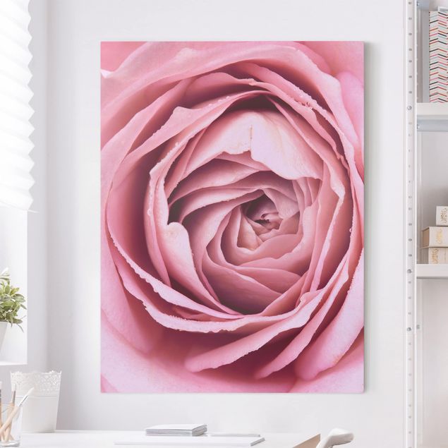 Küche Dekoration Rosa Rosenblüte