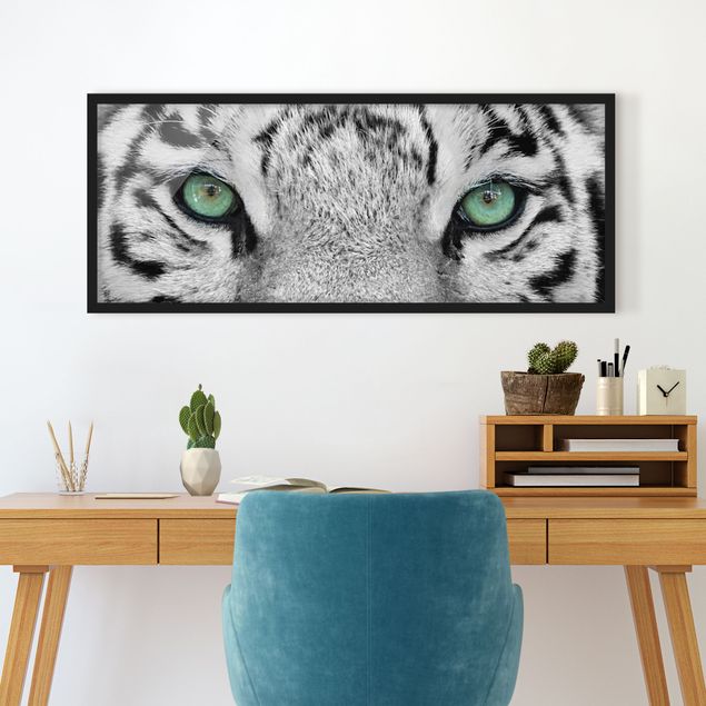 Wandbilder Tiger Weißer Tiger