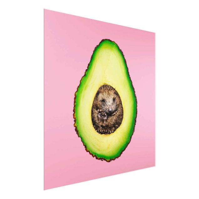 Glasbilder Tiere Avocado mit Igel