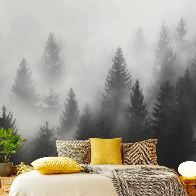 Wald Tapete Nadelwald im Nebel Schwarz Weiß