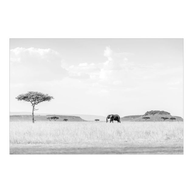 Tapete Pflanzen Elefant in weiter Savanne Schwarz-Weiß