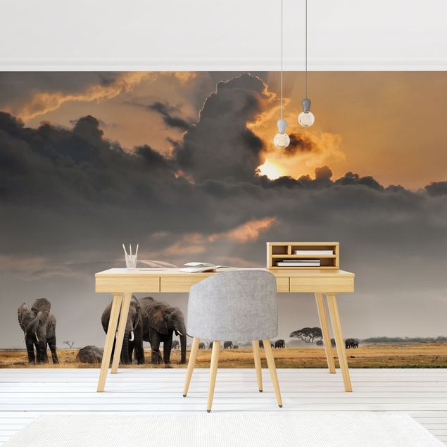 Fototapete Afrika Elefanten der Savanne