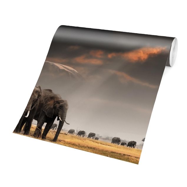 Fototapete Skyline Elefanten der Savanne