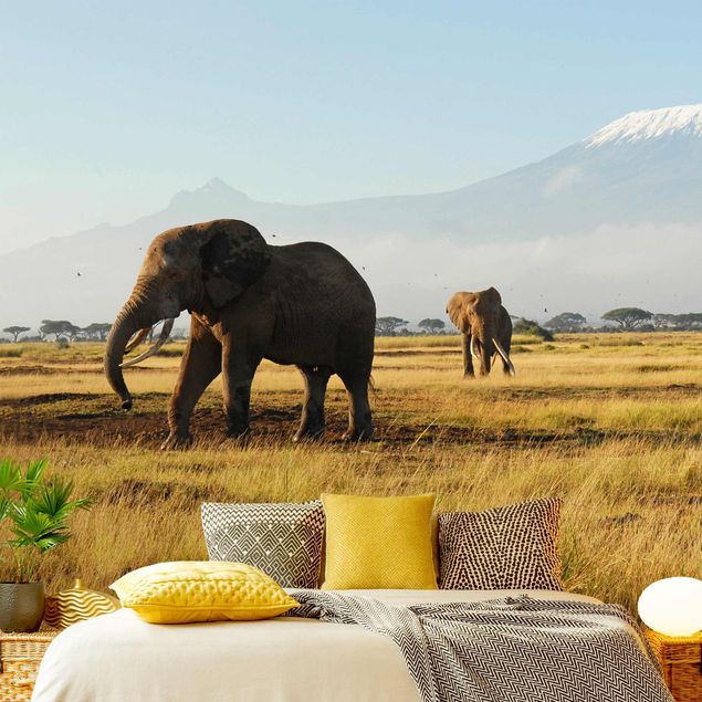 Fototapete Afrika Elefanten vor dem Kilimanjaro in Kenya