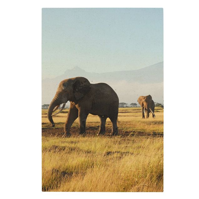Leinwandbilder Berge Elefanten vor dem Kilimanjaro in Kenya