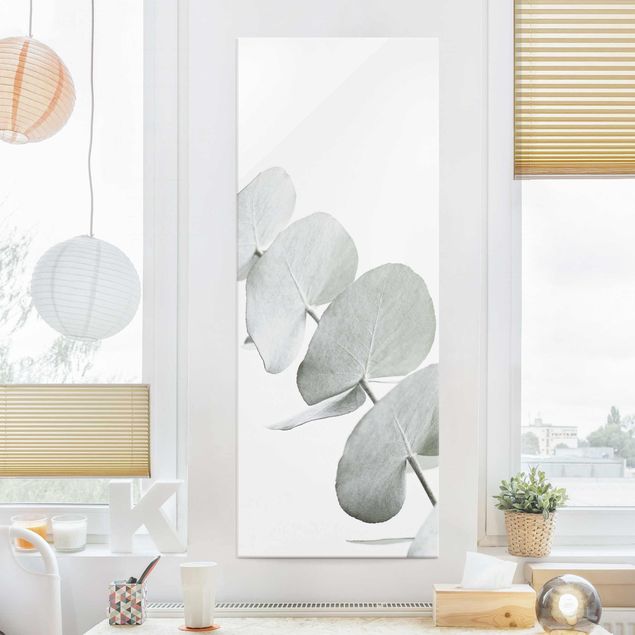 Küche Dekoration Eukalyptuszweig im Weißen Licht