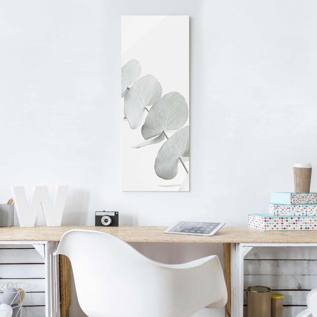 Wandbilder Floral Eukalyptuszweig im Weißen Licht