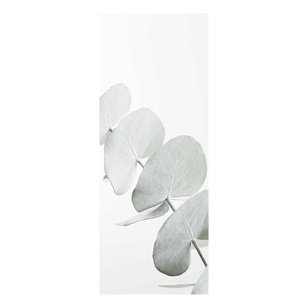 Monika Strigel Bilder Eukalyptuszweig im Weißen Licht