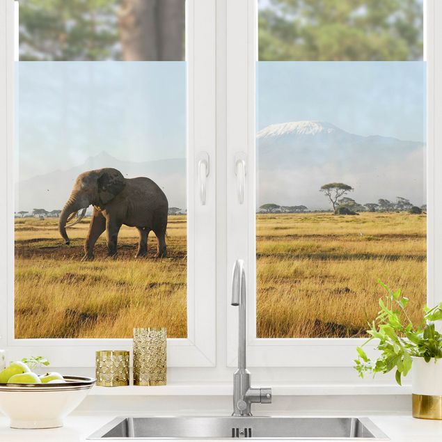 Wanddeko Küche Elefanten vor dem Kilimanjaro in Kenia