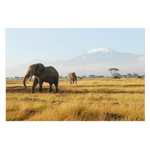 Fenstersticker Tiere Elefanten vor dem Kilimanjaro in Kenia