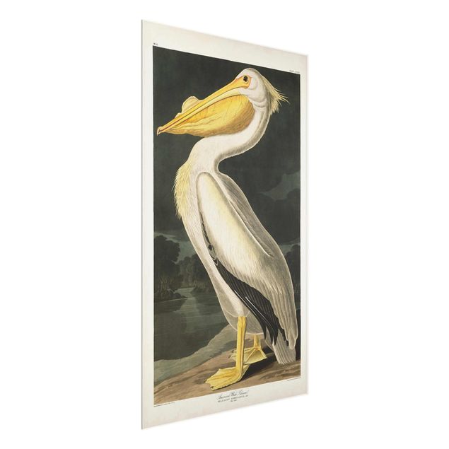 Wandbilder Vintage Vintage Lehrtafel Weißer Pelikan