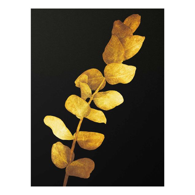 Wandbilder Blumen Gold - Eukalyptus auf Schwarz