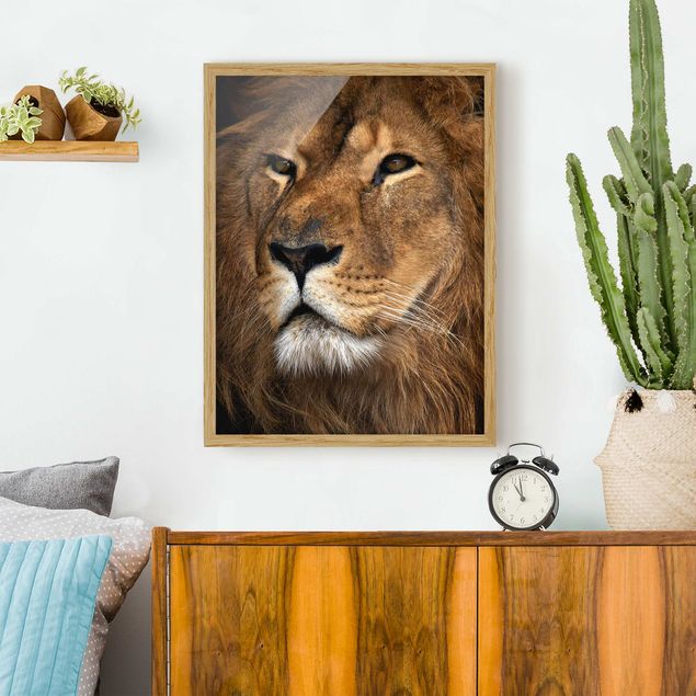 Wandbilder Löwen Löwenblick