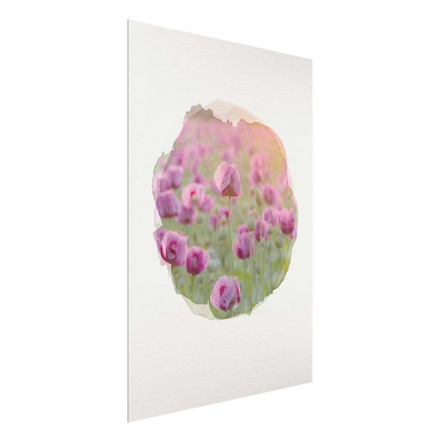 Küche Dekoration Wasserfarben - Violette Schlafmohn Blumenwiese im Frühling