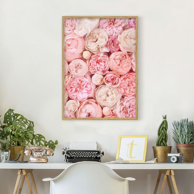 gerahmte Blumenbilder Rosen Rosé Koralle Shabby