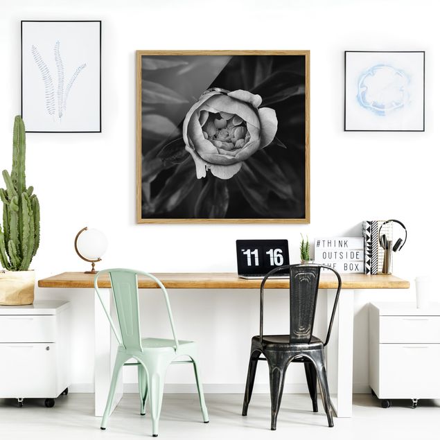 schwarz-weiß Bilder mit Rahmen Pfingstrosenblüte vor Blättern Schwarz Weiß