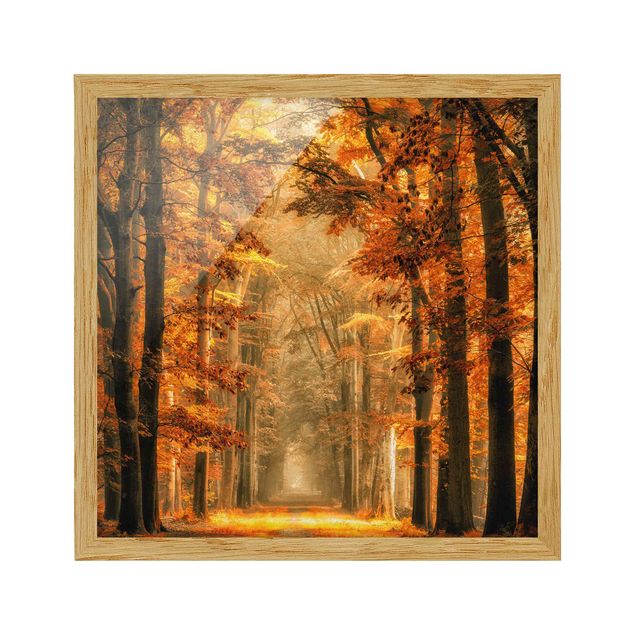 Landschaftsbilder mit Rahmen Märchenwald im Herbst
