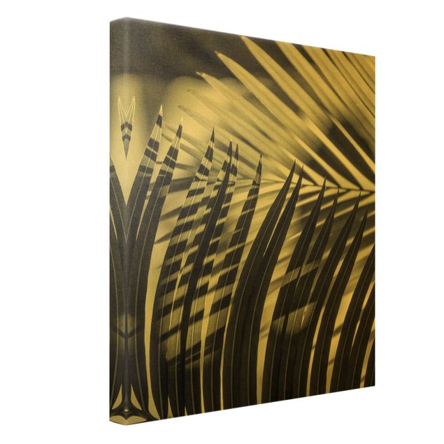 Leinwandbilder kaufen Schattenspiel auf Palmenwedel