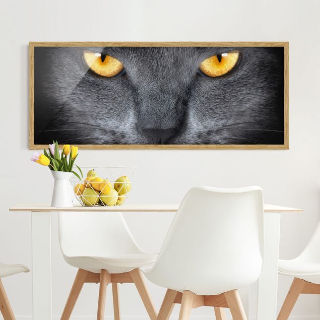 Wandbilder Katzen Cats Gaze