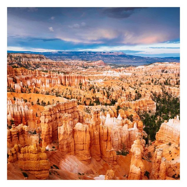 Fototapete kaufen Farbenpracht des Grand Canyon