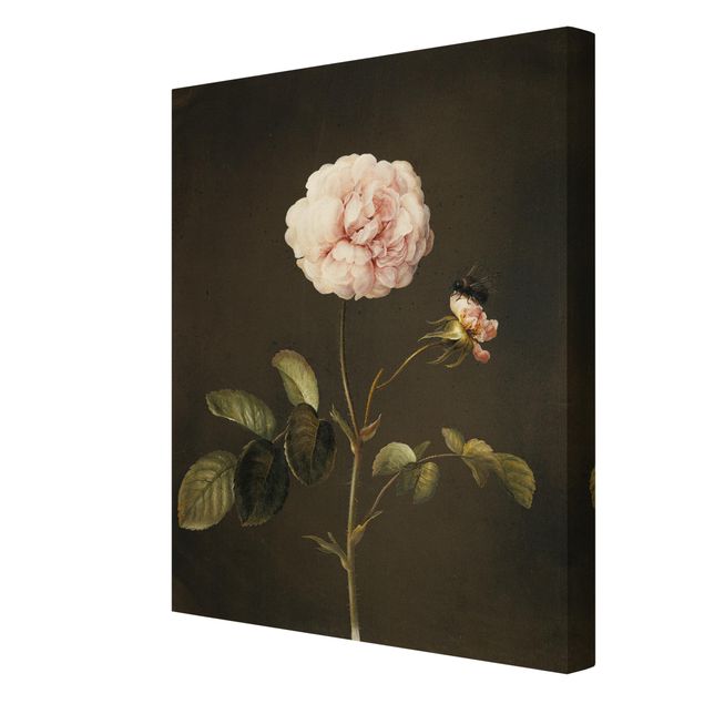 Wandbilder Blumen Barbara Regina Dietzsch - Essig-Rose mit Hummel