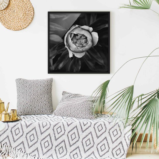 schwarz-weiß Bilder mit Rahmen Pfingstrosenblüte vor Blättern Schwarz Weiß