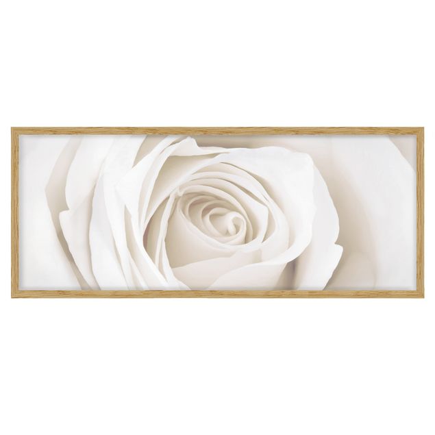 Wandbilder Blumen Pretty White Rose