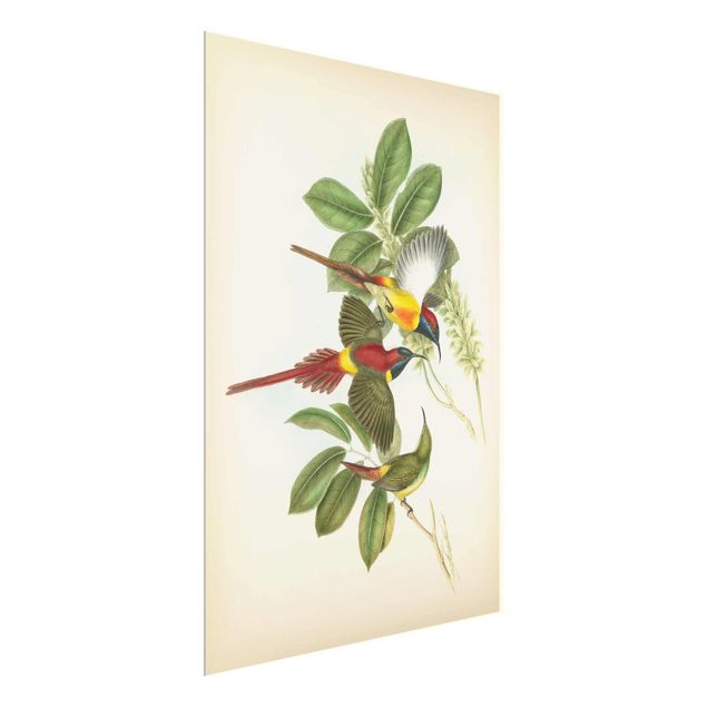 Wandbilder Blumen Vintage Illustration Tropische Vögel III