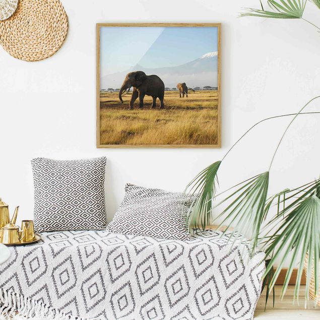 Wandbilder Landschaften Elefanten vor dem Kilimanjaro in Kenya