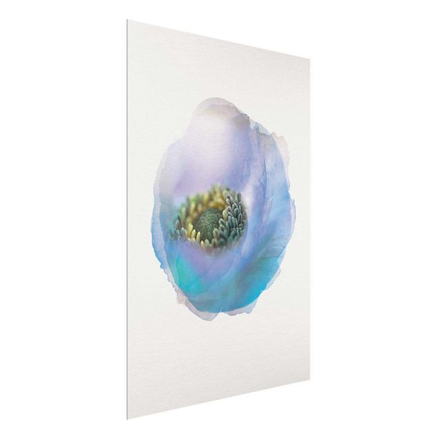 Wandbilder Floral Wasserfarben - Anemone auf dem Fluss