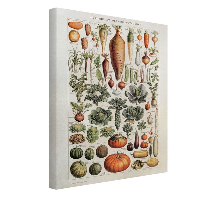 Wandbilder Floral Vintage Lehrtafel Gemüse