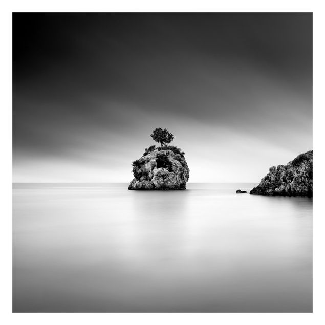 Fototapete Felseninsel im Meer Schwarz-Weiß