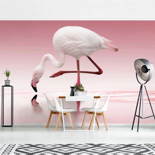 moderne Fototapete Flamingo Dance